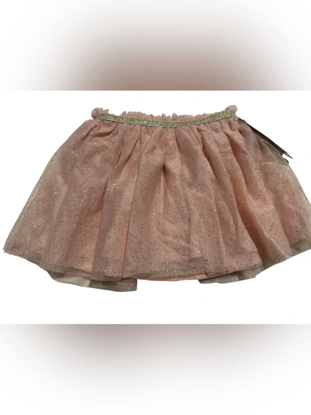 Cat and Jack Sparkle Pink Tulle Skirt with Gold Waistband